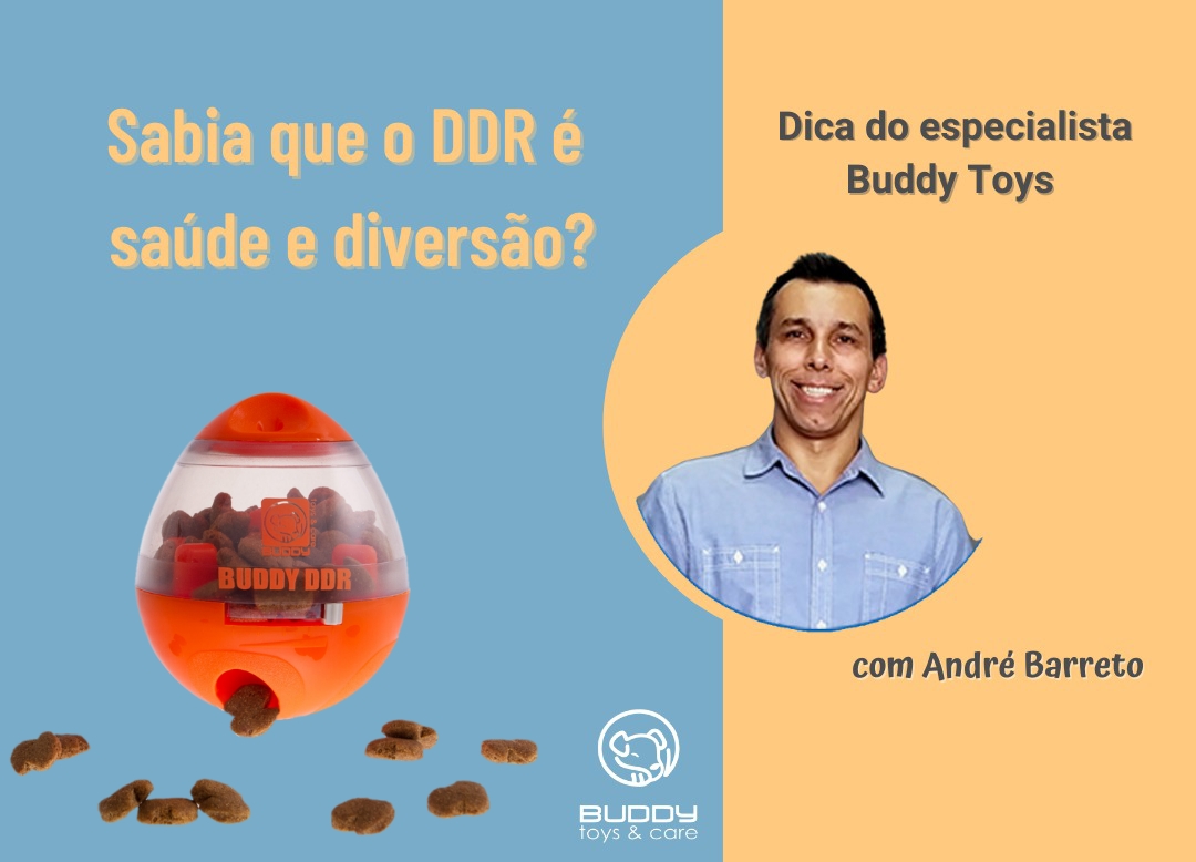 Sabia que o DDR é saúde e diversão?